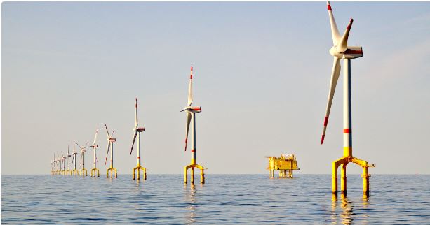  Actu environnement