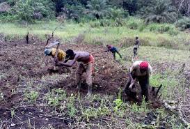 Lutte contre la dégradation des terres