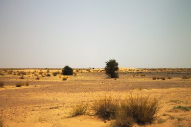 Sahel