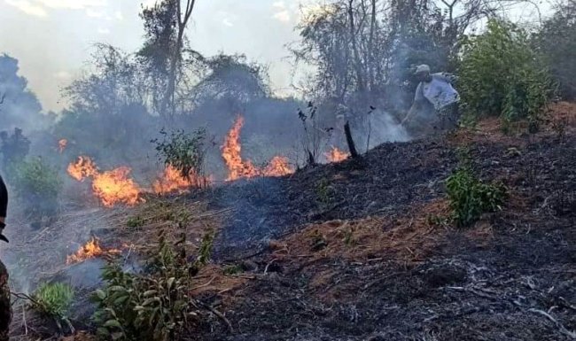 Feu de végétation (Fraternité Fm)