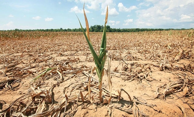 Rechauffement Climatique